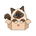 Logo de Mia's Box représentant Mia, une chatte aux yeux bleus, dans un carton de livraison.